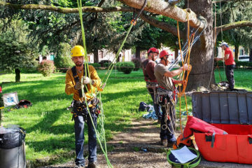 Corso Base Treeclimbing modulo B